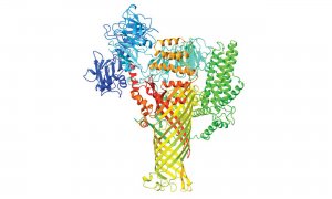 Nghi&ecirc;n cứu về nh&oacute;m protein vi sinh vật điều khiển hệ thống tế b&agrave;o của c&acirc;y trồng