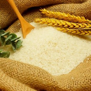 FAO: Dự b&aacute;o ng&agrave;y 4/7/2024 về cung - cầu gạo thế giới năm 2024/2025