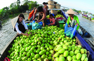 Chuyển từ sản xuất n&ocirc;ng nghiệp sang kinh tế n&ocirc;ng nghiệp