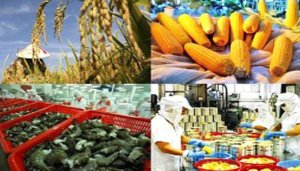 Phấn đấu gi&aacute; trị xuất khẩu n&ocirc;ng l&acirc;m thủy sản đạt 62 tỷ USD v&agrave;o năm 2030