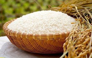 Gi&aacute; l&uacute;a gạo h&ocirc;m 14/1: Thị trường giao dịch chậm, gi&aacute; l&uacute;a gạo đi ngang