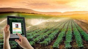 T&igrave;m giải ph&aacute;p cho những th&aacute;ch thức chung trong n&ocirc;ng nghiệp ch&acirc;u &Aacute;