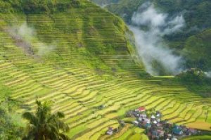Bảo vệ đa dạng sinh học v&igrave; lợi &iacute;ch của kh&iacute; hậu to&agrave;n cầu