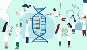 Chỉnh sửa gen CRISPR c&oacute; thể nhiễm độc tế b&agrave;o v&agrave; mất ổn định bộ gen