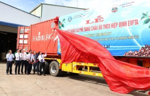 Nắm bắt lợi thế, ng&agrave;nh c&agrave;ph&ecirc; Việt Nam chinh phục kỷ lục mới