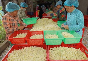 Tư lệnh ng&agrave;nh n&ocirc;ng nghiệp v&agrave; những trăn trở về n&ocirc;ng nghiệp c&ocirc;ng nghệ cao v&agrave; c&ocirc;ng t&aacute;c đ&agrave;o tạo nghề