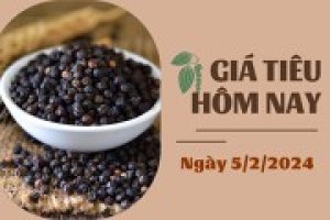 Gi&aacute; ti&ecirc;u h&ocirc;m nay 5/2: Cao nhất thị trường nội địa l&agrave; 83.500 đồng/kg