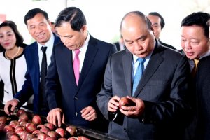 Ng&agrave;nh n&ocirc;ng nghiệp nỗ lực vượt kh&oacute;