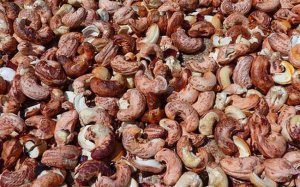 Ng&agrave;nh điều sẽ phải hạ mục ti&ecirc;u xuất khẩu?