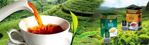 C&aacute;c thị trường chủ yếu xuất khẩu ch&egrave; 4 th&aacute;ng đầu năm 2021
