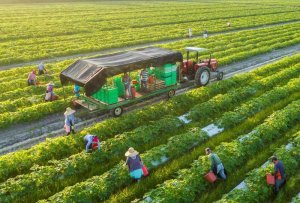 Luồng sinh kh&iacute; mới từ hướng n&ocirc;ng nghiệp t&iacute;ch hợp đa gi&aacute; trị