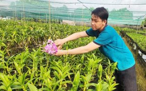 TPHCM ph&aacute;t triển n&ocirc;ng nghiệp đ&ocirc; thị