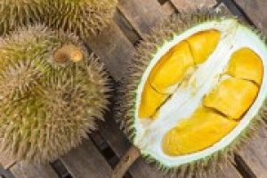 Gi&aacute; sầu ri&ecirc;ng h&ocirc;m 27/5: Malaysia triển khai hệ thống theo d&otilde;i, truy xuất để bảo vệ v&ugrave;ng trồng sầu ri&ecirc;ng