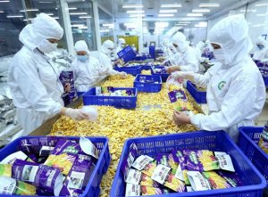 Ứng dụng c&ocirc;ng nghệ sấy vi s&oacute;ng trong bảo quản, chế biến n&ocirc;ng sản