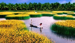 Ng&agrave;nh n&ocirc;ng nghiệp xuất khẩu đạt gần 20 tỷ USD