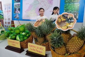 N&ocirc;ng nghiệp hữu cơ: cần, nhưng kh&ocirc;ng dễ!