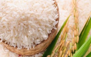 L&uacute;a gạo Ch&acirc;u &Aacute;: Gi&aacute; tăng ở Th&aacute;i Lan v&agrave; Ấn Độ