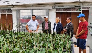 Để th&iacute;ch ứng với điều kiện mới, HLV Việt Nam chủ động đổi mới 