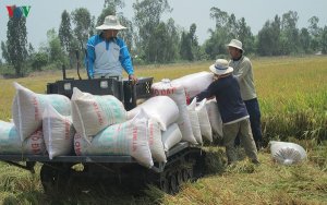 Dịch Covid-19 vừa l&agrave; th&aacute;ch thức vừa l&agrave; cơ hội cho ng&agrave;nh n&ocirc;ng nghiệp