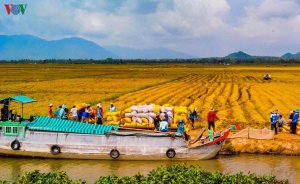 ĐBSCL chuyển đổi tư duy sản xuất n&ocirc;ng nghiệp sang kinh tế n&ocirc;ng nghiệp