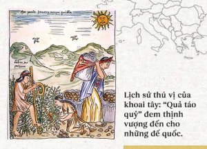 Lịch sử th&uacute; vị của khoai t&acirc;y: &ldquo;Quả t&aacute;o quỷ&rdquo; đem thịnh vượng đến cho những đế quốc 