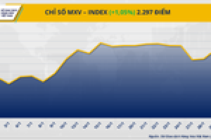 Gi&aacute; c&agrave; ph&ecirc; ph&aacute; vỡ kỷ lục lịch sử, gi&aacute; ng&ocirc; l&ecirc;n mức cao nhất trong hai th&aacute;ng
