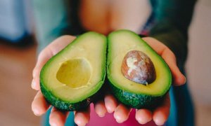 C&ocirc;ng nghệ ho&agrave;n hảo gi&uacute;p ph&acirc;n loại bơ ch&iacute;n