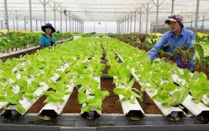 Chuyển hướng để bứt ph&aacute;