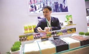 Đường tắt n&acirc;ng gi&aacute; hạt gạo Việt 