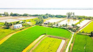 N&ocirc;ng nghiệp ĐBSCL tăng trưởng nhưng vẫn lo