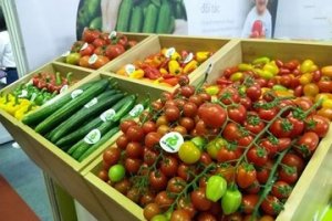 Ng&agrave;nh n&ocirc;ng nghiệp xuất si&ecirc;u 6,2 tỷ USD