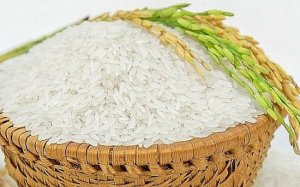 Gi&aacute; gạo Ch&acirc;u &Aacute; li&ecirc;n tiếp lập "đỉnh" mới