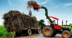 Cơ hội gi&agrave;nh lợi thế cạnh tranh tr&ecirc;n trường quốc tế của m&iacute;a đường Việt Nam
