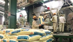 Doanh nghiệp thức ăn chăn nu&ocirc;i: Bao giờ mới c&oacute; thể "lội ngược d&ograve;ng"?