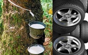 Triển vọng thị trường cao su thế n&agrave;o trong năm 2021?