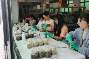 Thuốc diệt cỏ dại th&ocirc;ng thường l&agrave;m tăng hoạt động của vi khuẩn kh&aacute;ng thuốc kh&aacute;ng sinh