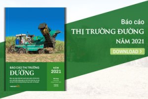Thị trường đường năm 2021: Một năm khởi sắc của ng&agrave;nh m&iacute;a đường