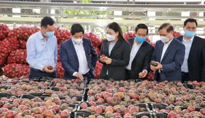 Khoa học kỹ thuật đưa n&ocirc;ng nghiệp l&ecirc;n tầm cao mới