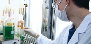 Kh&aacute;m ph&aacute; về loại protein mới tiết lộ cơ chế đồng h&oacute;a nitơ ở thực vật