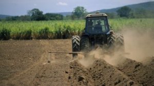 Tiềm năng giảm sự phụ thuộc v&agrave;o ph&acirc;n b&oacute;n kh&ocirc;ng thể t&aacute;i tạo trong n&ocirc;ng nghiệp