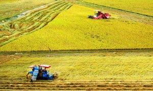 Nghị quyết 13: Kỳ vọng đất Ch&iacute;n Rồng &ldquo;cất c&aacute;nh&rdquo;