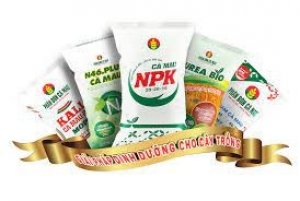 Thị trường cung cấp ph&acirc;n b&oacute;n cho Việt Nam 10 th&aacute;ng năm 2022 