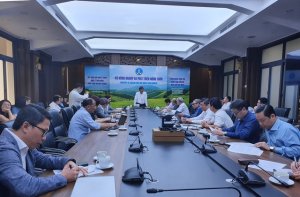 Bộ N&ocirc;ng nghiệp v&agrave; PTNT bắt tay x&acirc;y dựng Đề &aacute;n 1 triệu ha l&uacute;a chất lượng cao, giảm ph&aacute;t thải v&ugrave;ng ĐBSCL