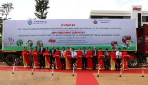 Mở rộng con đường xuất khẩu ch&iacute;nh ngạch cho nhiều n&ocirc;ng sản