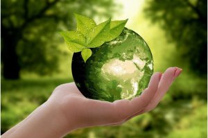 Tăng cường quản l&yacute; đa dạng sinh học tại c&aacute;c trang trại phải mang lại lợi &iacute;ch kinh tế cho n&ocirc;ng d&acirc;n