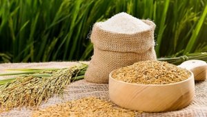 Gi&aacute; l&uacute;a gạo h&ocirc;m nay 5/2 v&agrave; tổng kết tuần qua: Gi&aacute; l&uacute;a gạo li&ecirc;n tục tăng