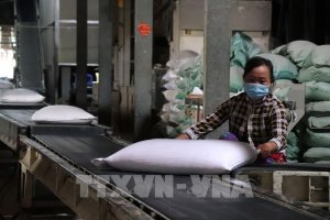 Thị trường n&ocirc;ng sản: Gi&aacute; gạo 5% tấm của Việt Nam được ch&agrave;o b&aacute;n ở mức 455-460 USD/tấn