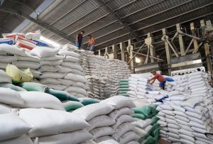 Gi&aacute; gạo thế giới chưa c&oacute; dấu hiệu giảm