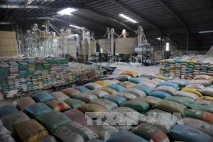 Tuần qua, gi&aacute; gạo ở c&aacute;c &ldquo;vựa l&uacute;a gạo&rdquo; tiếp tục giảm
