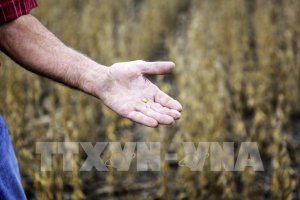 Nhiều mặt h&agrave;ng n&ocirc;ng sản giảm gi&aacute; trong tuần qua